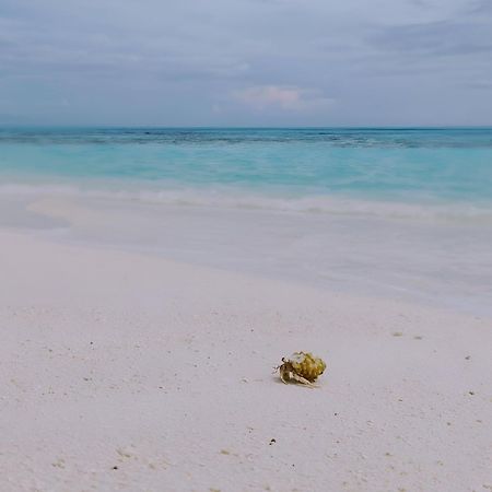 Bougan Villea Retreat Bodufolhudhoo Bagian luar foto