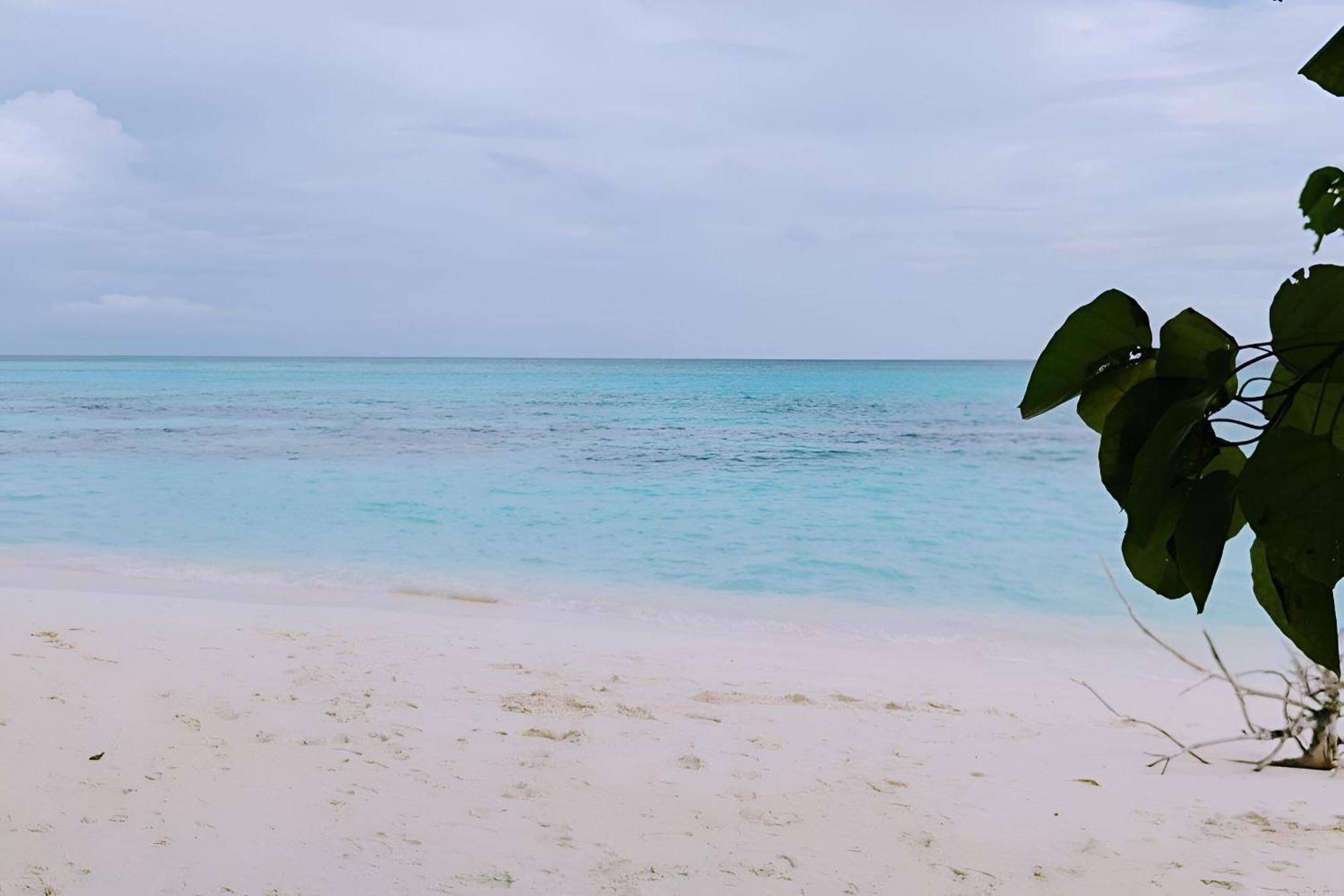 Bougan Villea Retreat Bodufolhudhoo Bagian luar foto